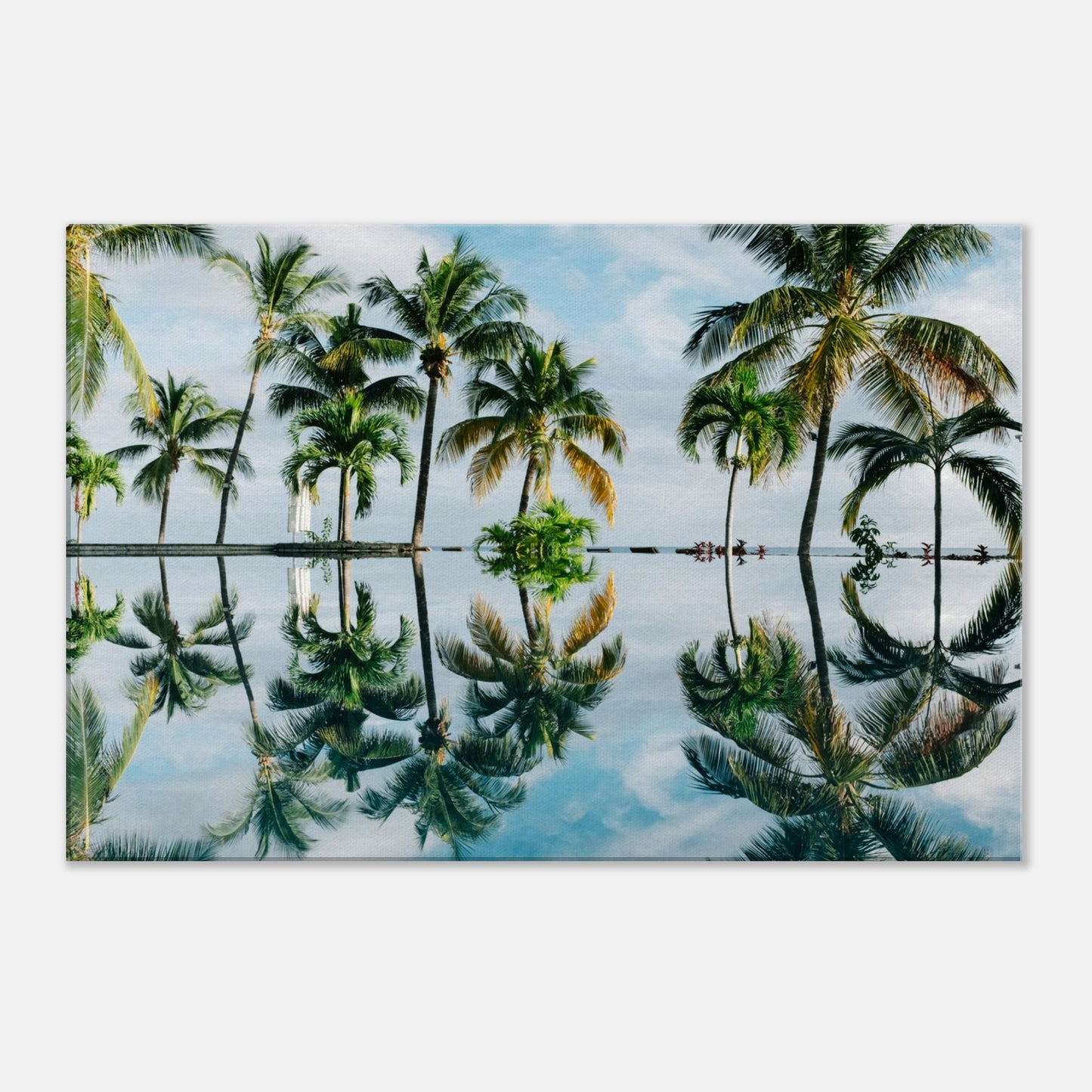 Palm Tree Reflections Canvas Wall Print by Caribbean Rays