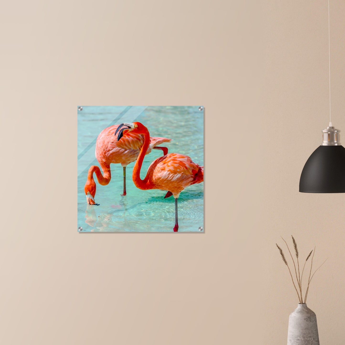 Flamingo Duo Acrylic Wall Print Caribbean Rays