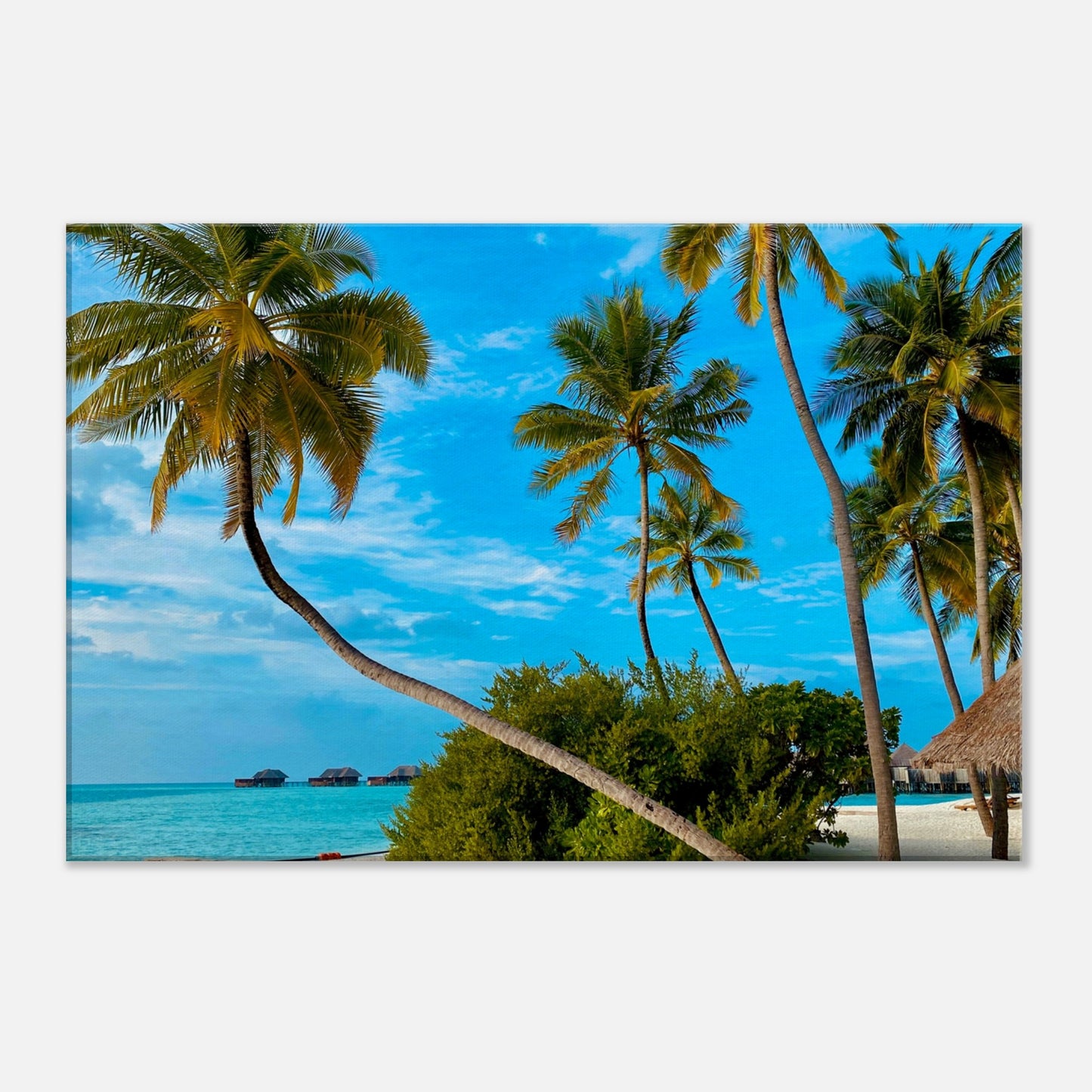 Tropical Resort Getaway Canvas Wall Prints at Caribbean Rays