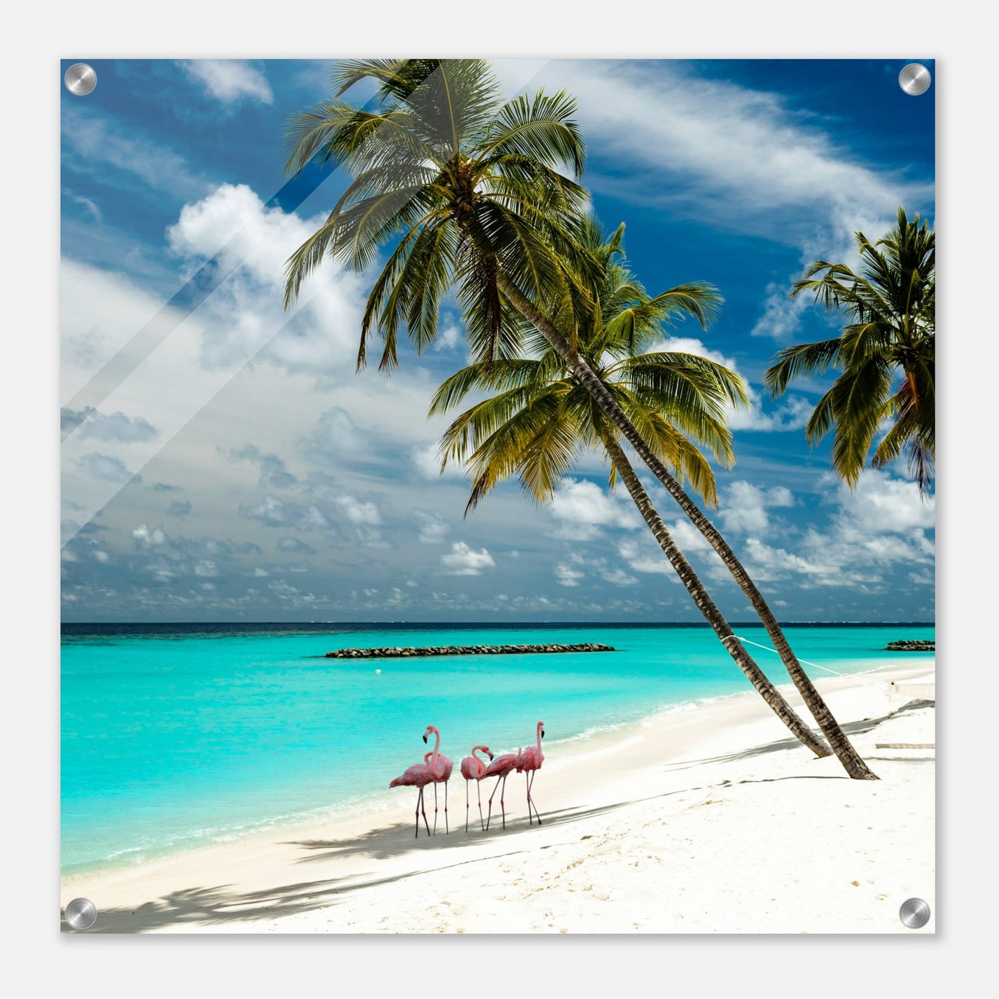 Flamingos on Vacation Acrylic Wall Print at Caribbean Rays