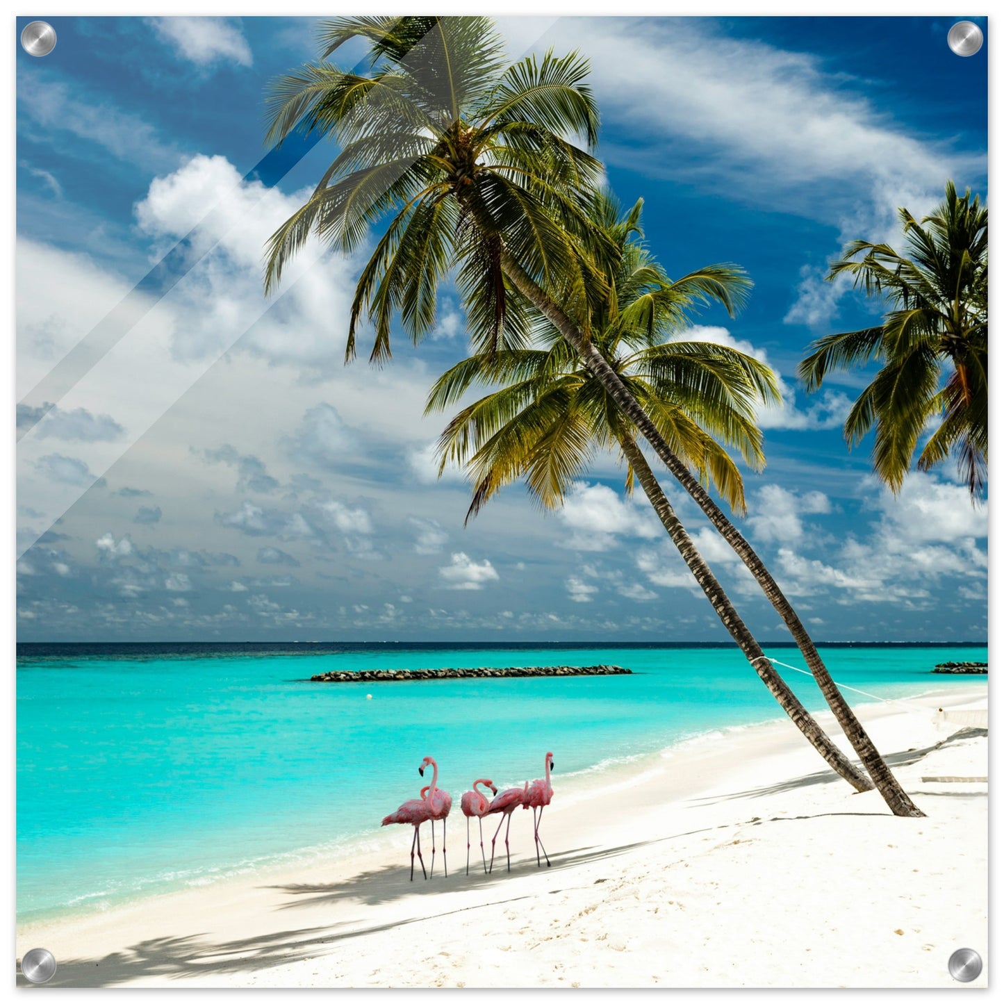 Flamingos on Vacation Acrylic Wall Print