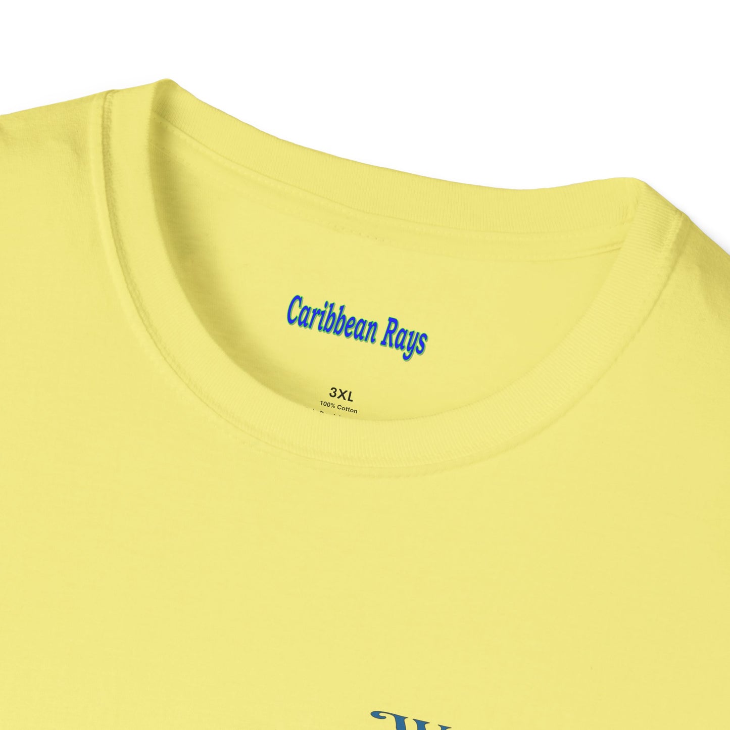Whale Watching Tours Unisex Softstyle T-Shirt