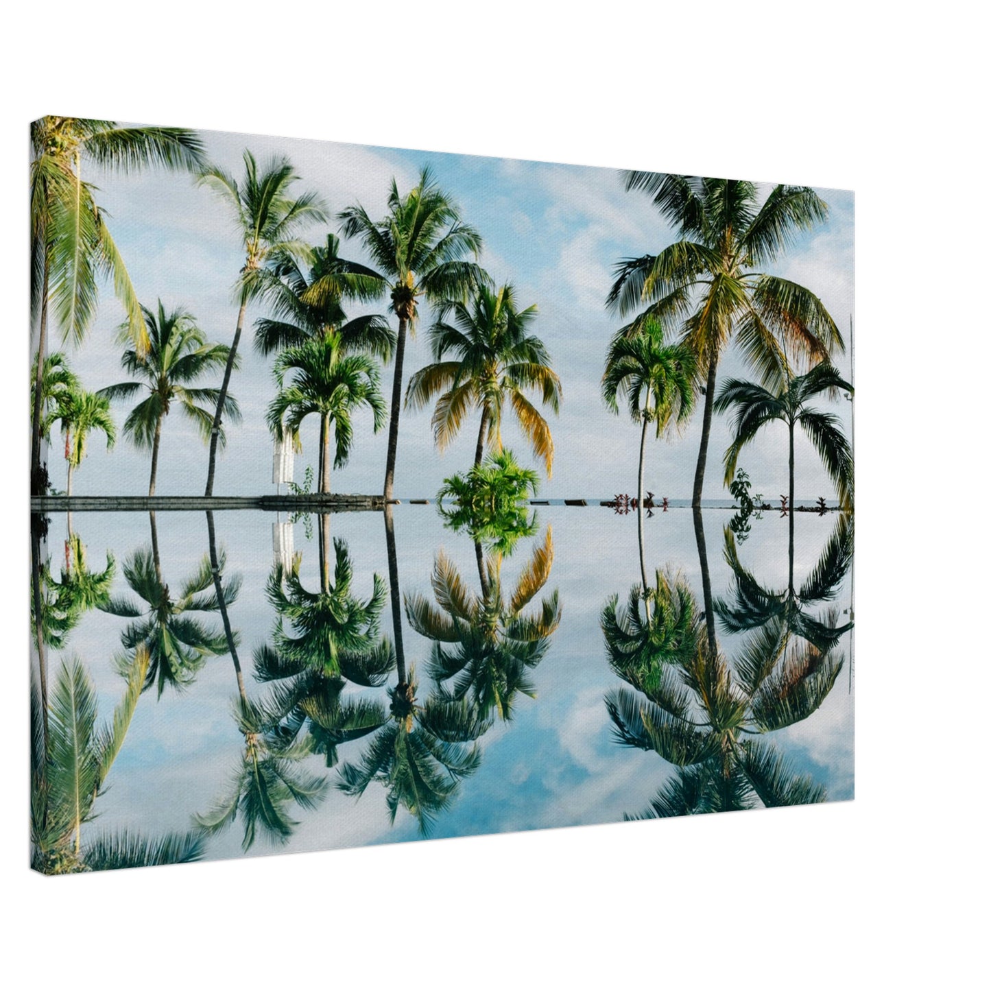 Palm Tree Reflections Canvas Wall Print Caribbean Rays