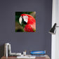 Red Macaw Parrot Canvas Wall Print - Caribbean Rays