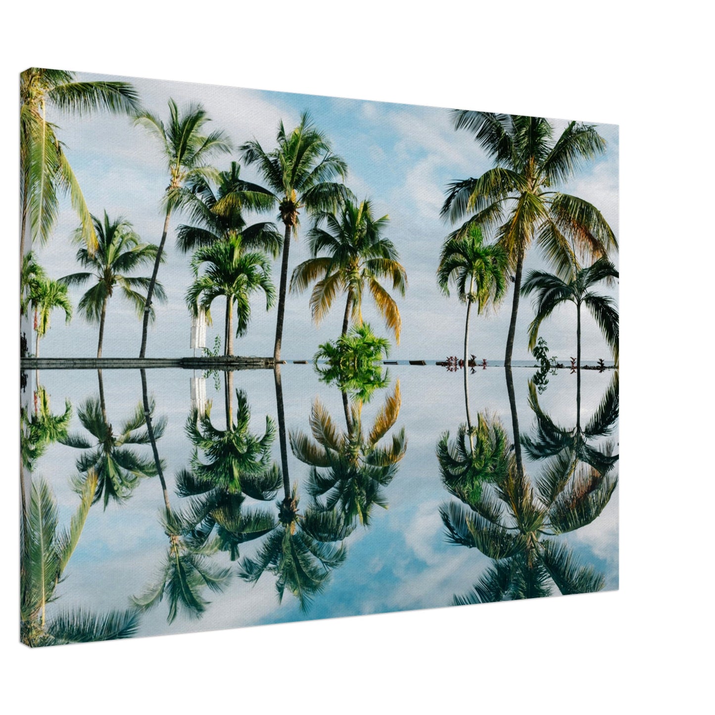 Palm Tree Reflections Canvas Wall Print - Caribbean Rays