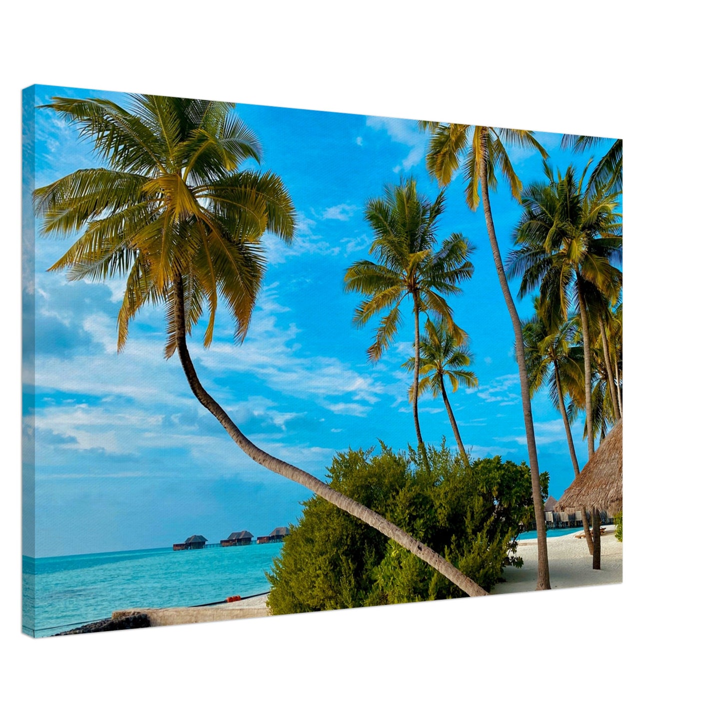 Tropical Resort Getaway Canvas Wall Prints on Caribbean Rays
