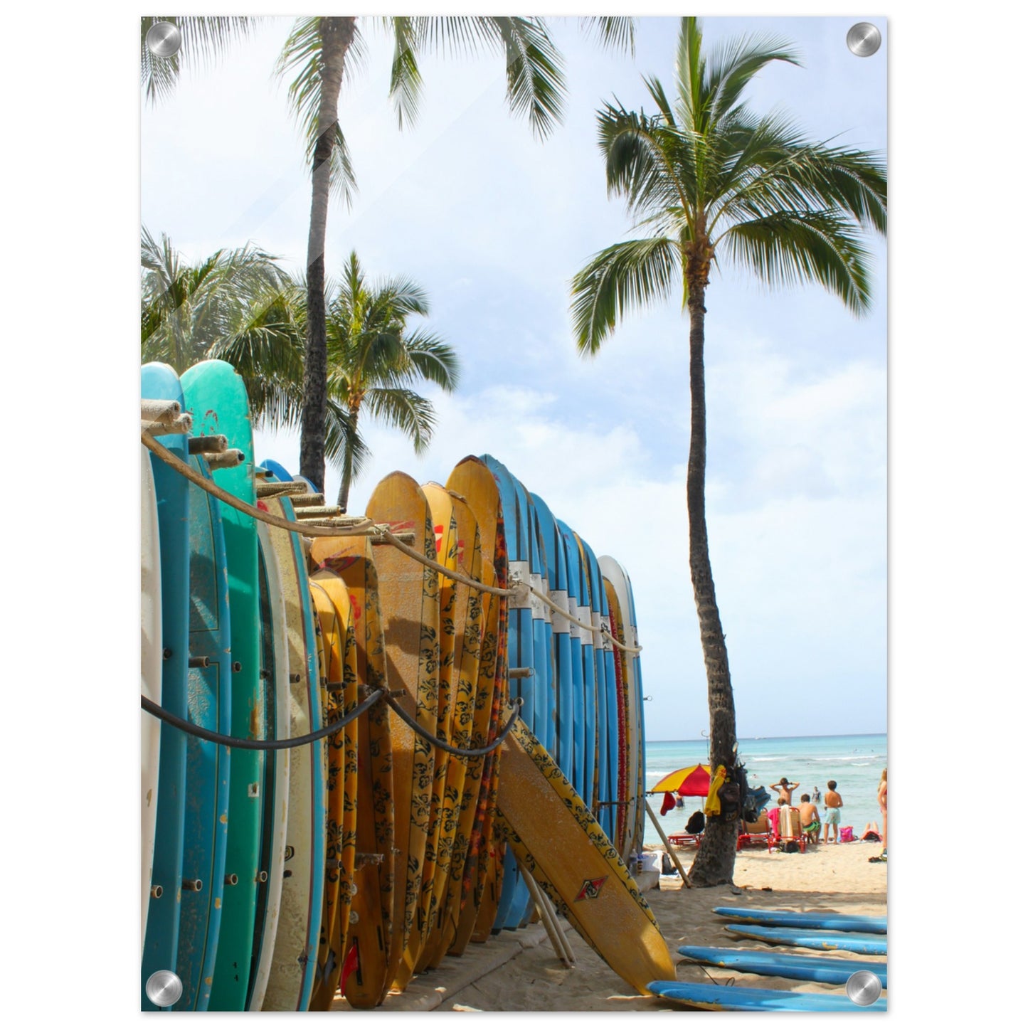 Surfboard Row Acrylic Wall Print at Caribbean Rays