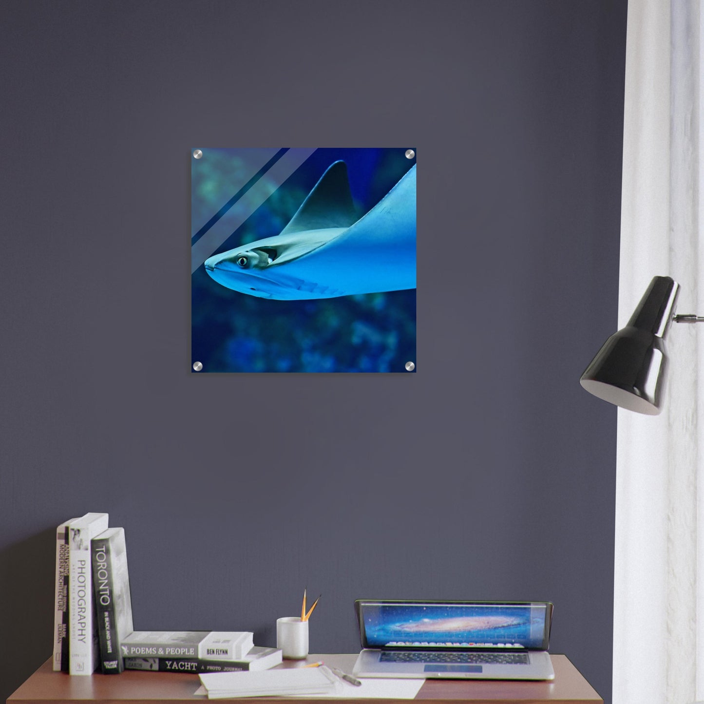 Sting Ray Acrylic Wall Print - Caribbean Rays