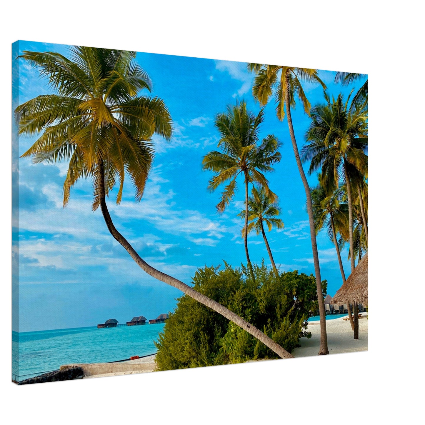 Tropical Resort Getaway Canvas Wall Prints - Caribbean Ra