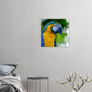 Blue Parrot Canvas Wall Print - Caribbean Rays