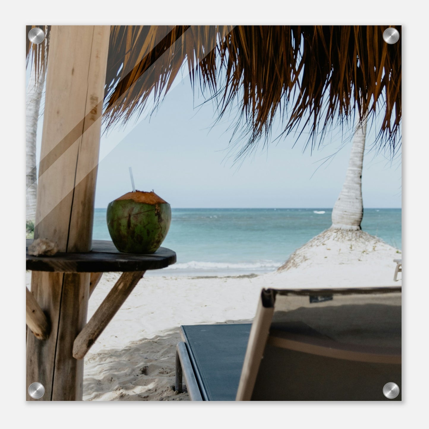 Coconut Dreams Acrylic Wall Print by Caribbean Rays
