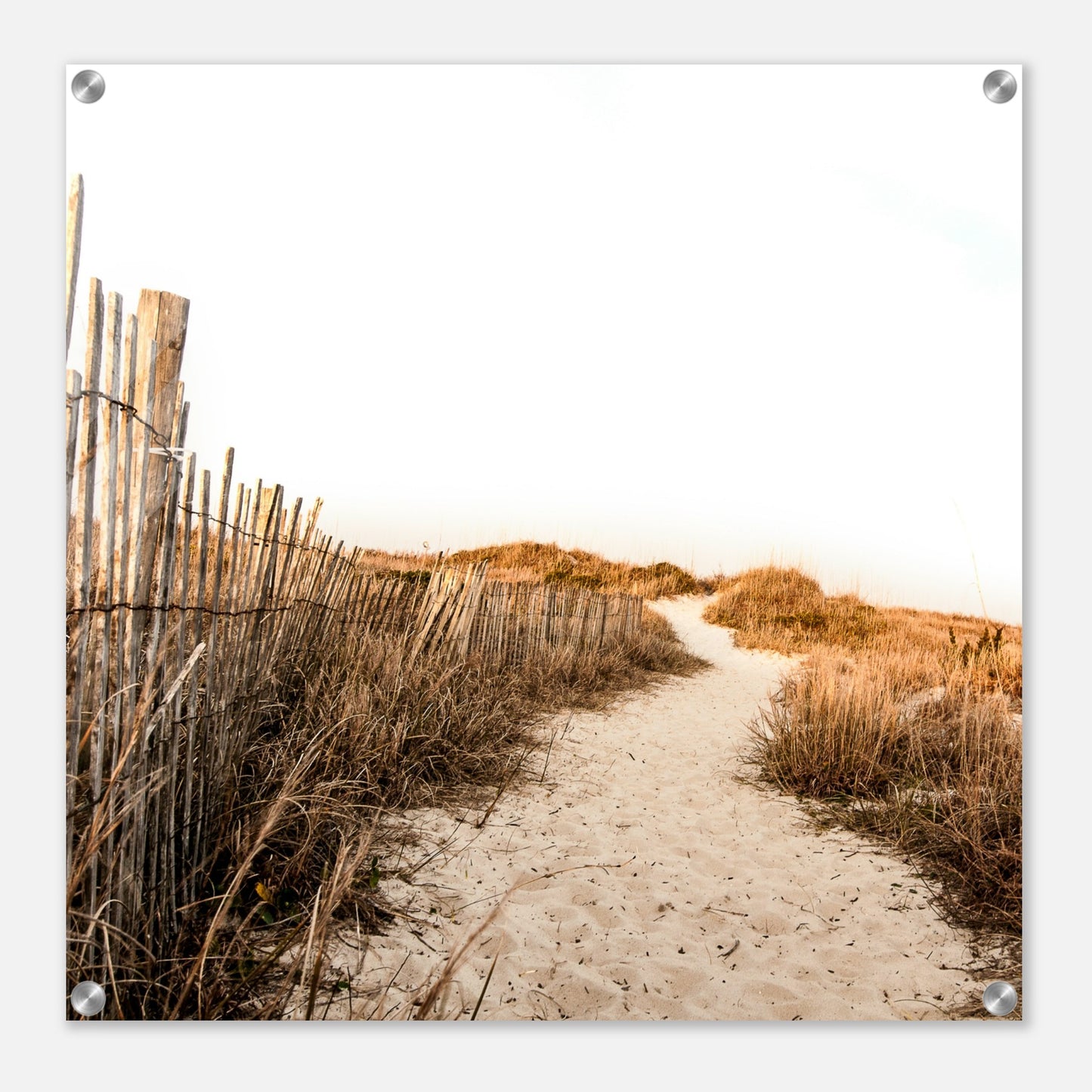 Sandy Path Acrylic Wall Print by Caribbean Rays