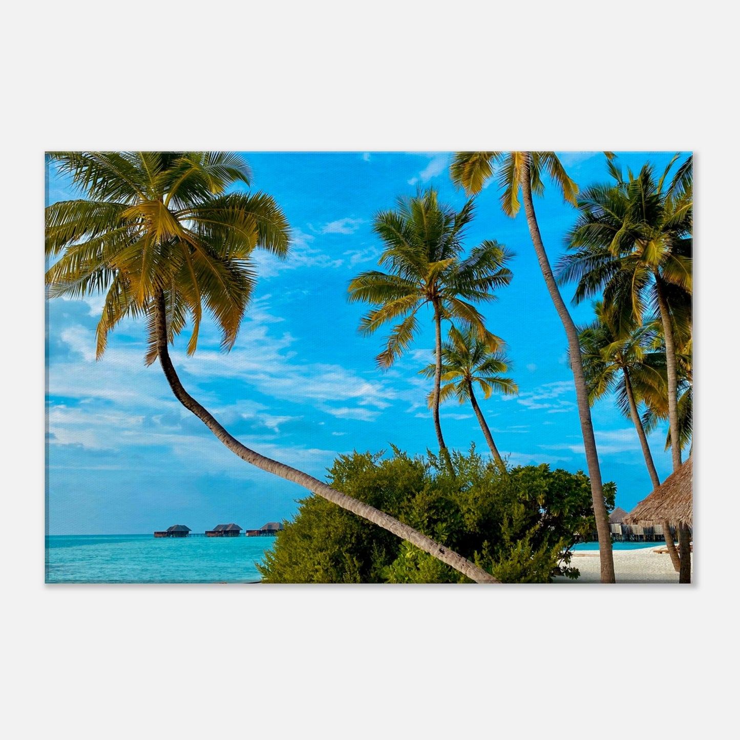 Tropical Resort Getaway Canvas Wall Prints at Caribbean Rays