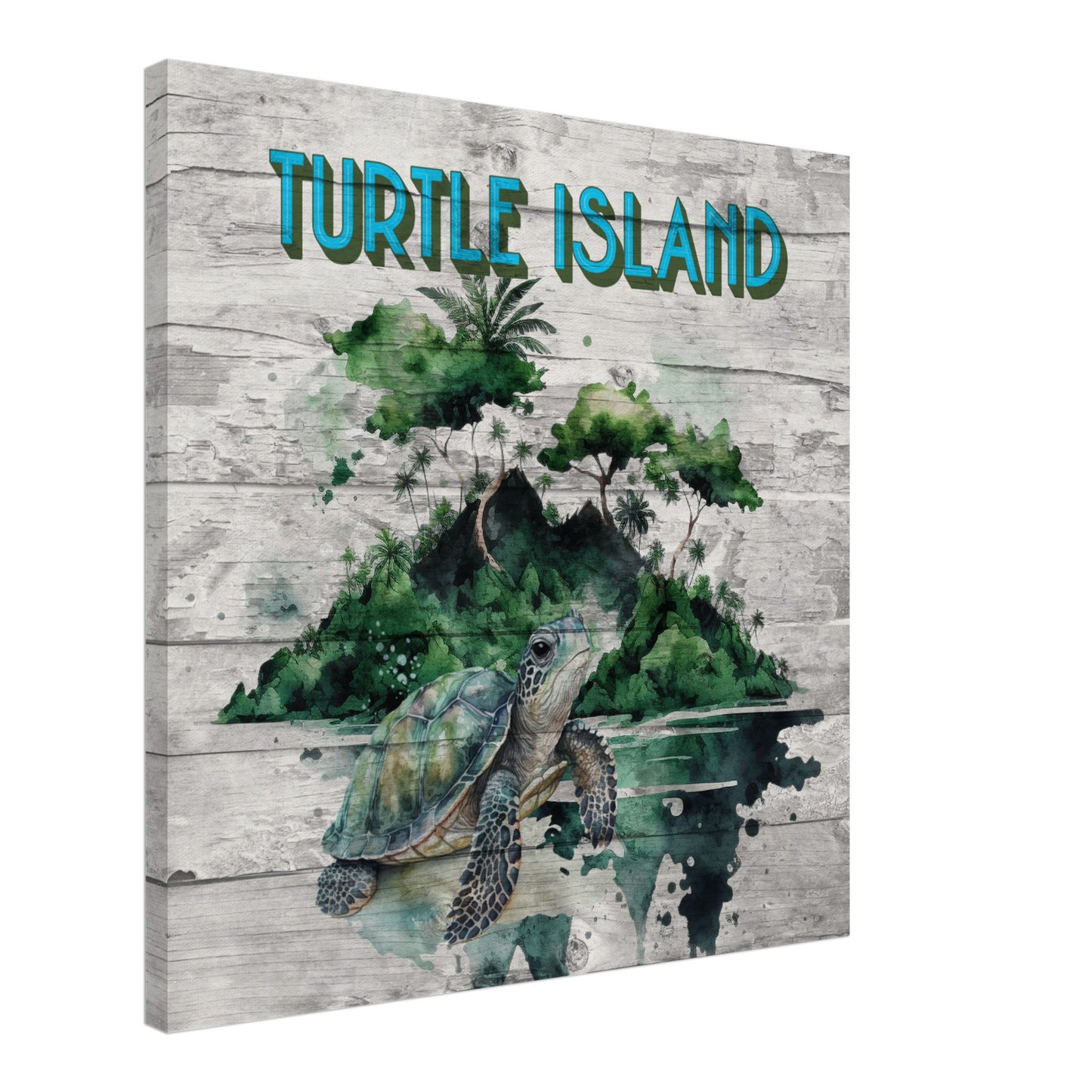 Turtle Island Canvas Wall Print
