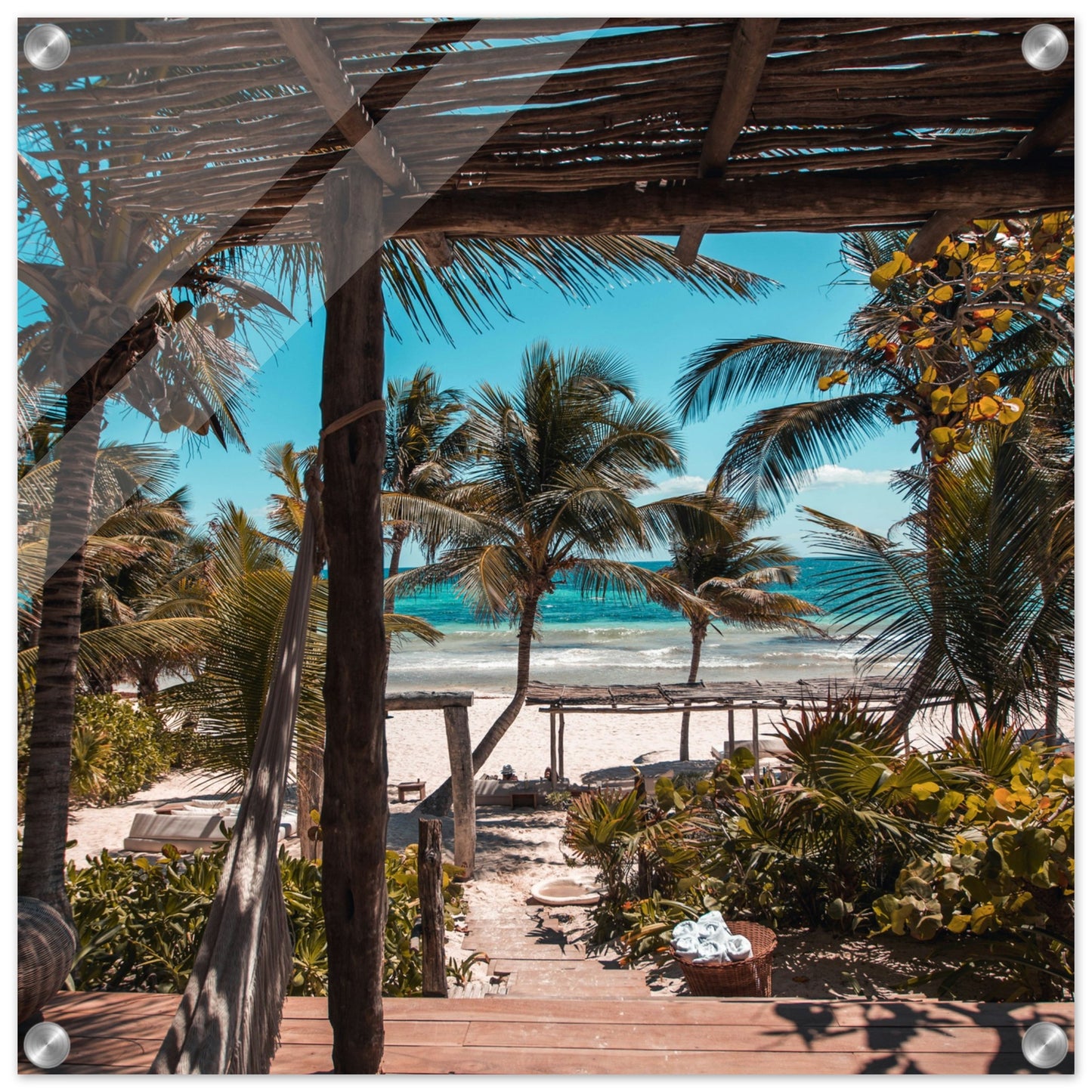 Island Living Acrylic Wall Print on Caribbean Rays