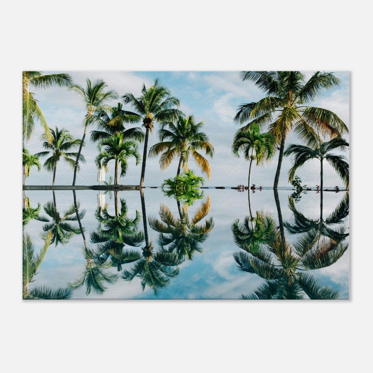 Palm Tree Reflections Canvas Wall Print by Caribbean Rays