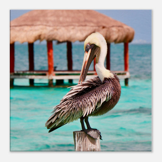 Pelican in Paradise Canvas Wall Print by Caribbean Rays