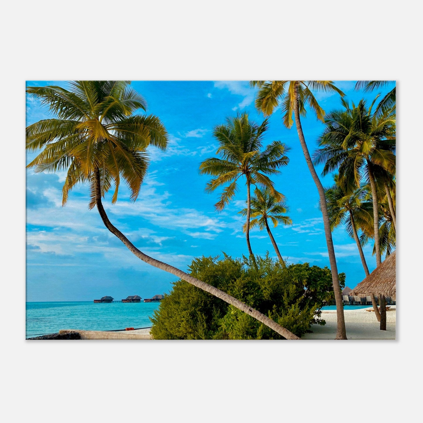 Tropical Resort Getaway Canvas Wall Prints at Caribbean Rays