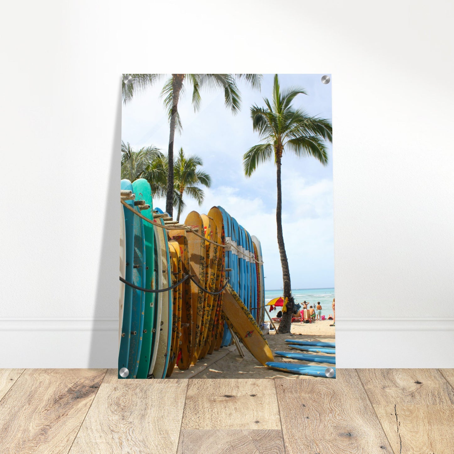 Surfboard Row Acrylic Wall Print Caribbean Rays