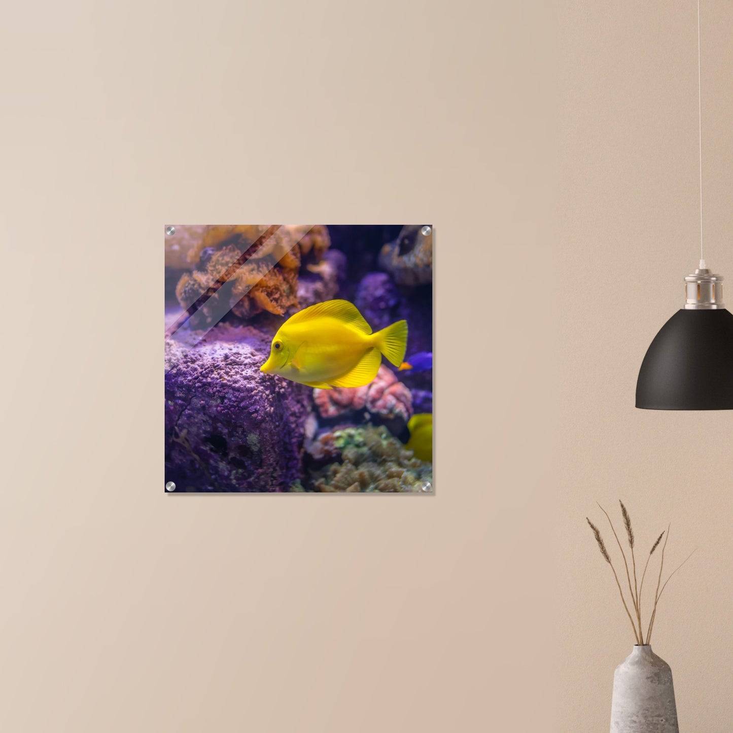 Yellow Tang Acrylic Wall Print - at Caribbean Rays