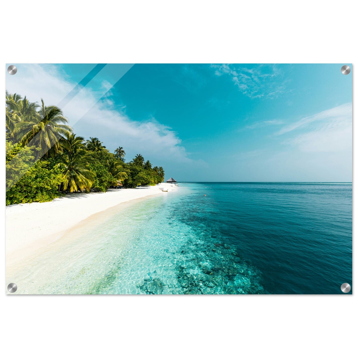 Tropical Beach Acrylic Wall Print - Caribbean Rays
