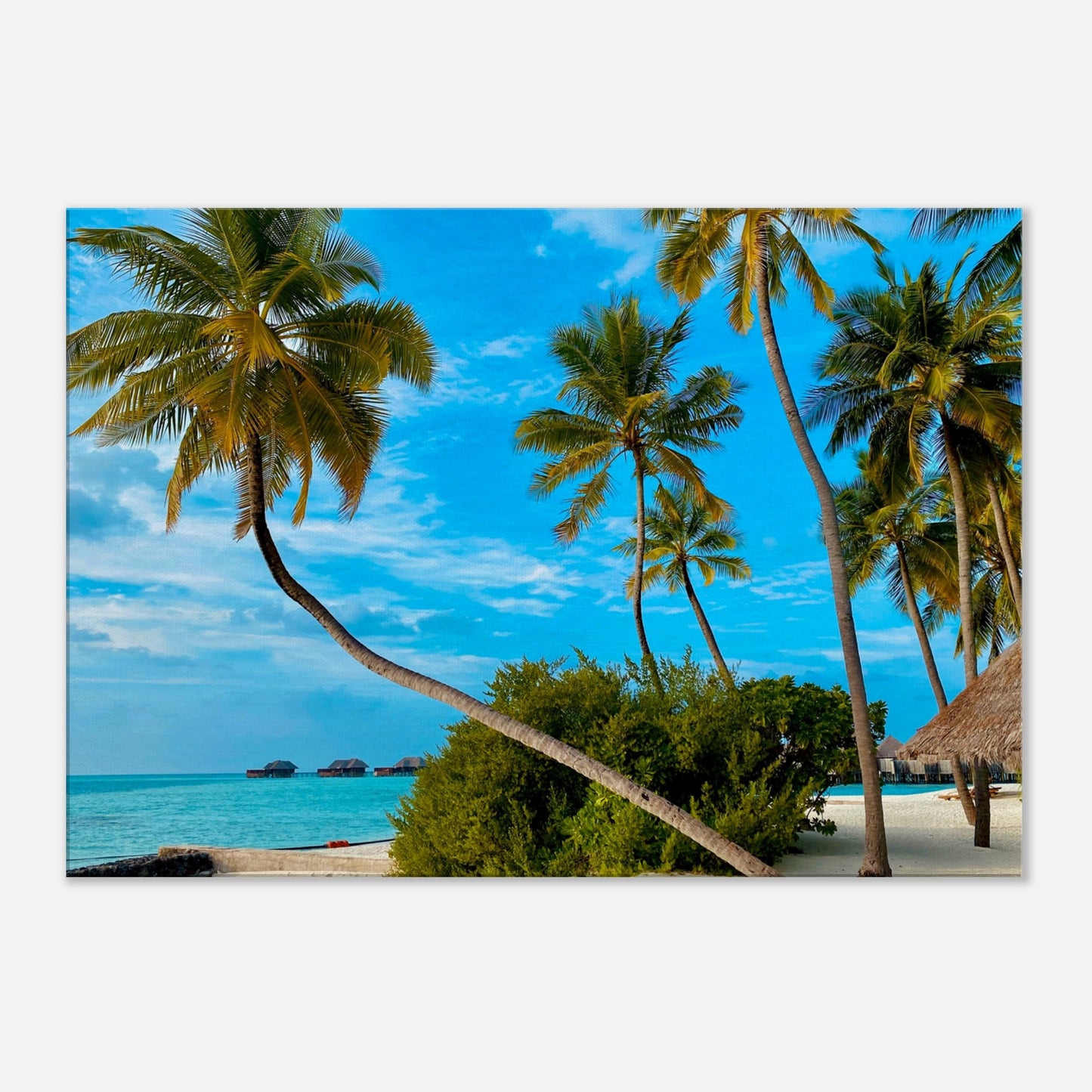 Tropical Resort Getaway Canvas Wall Prints at Caribbean Rays