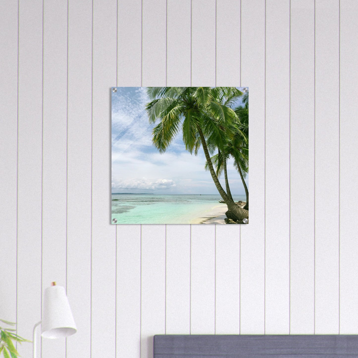 Palm Tree Point Acrylic Wall Print Caribbean Rays