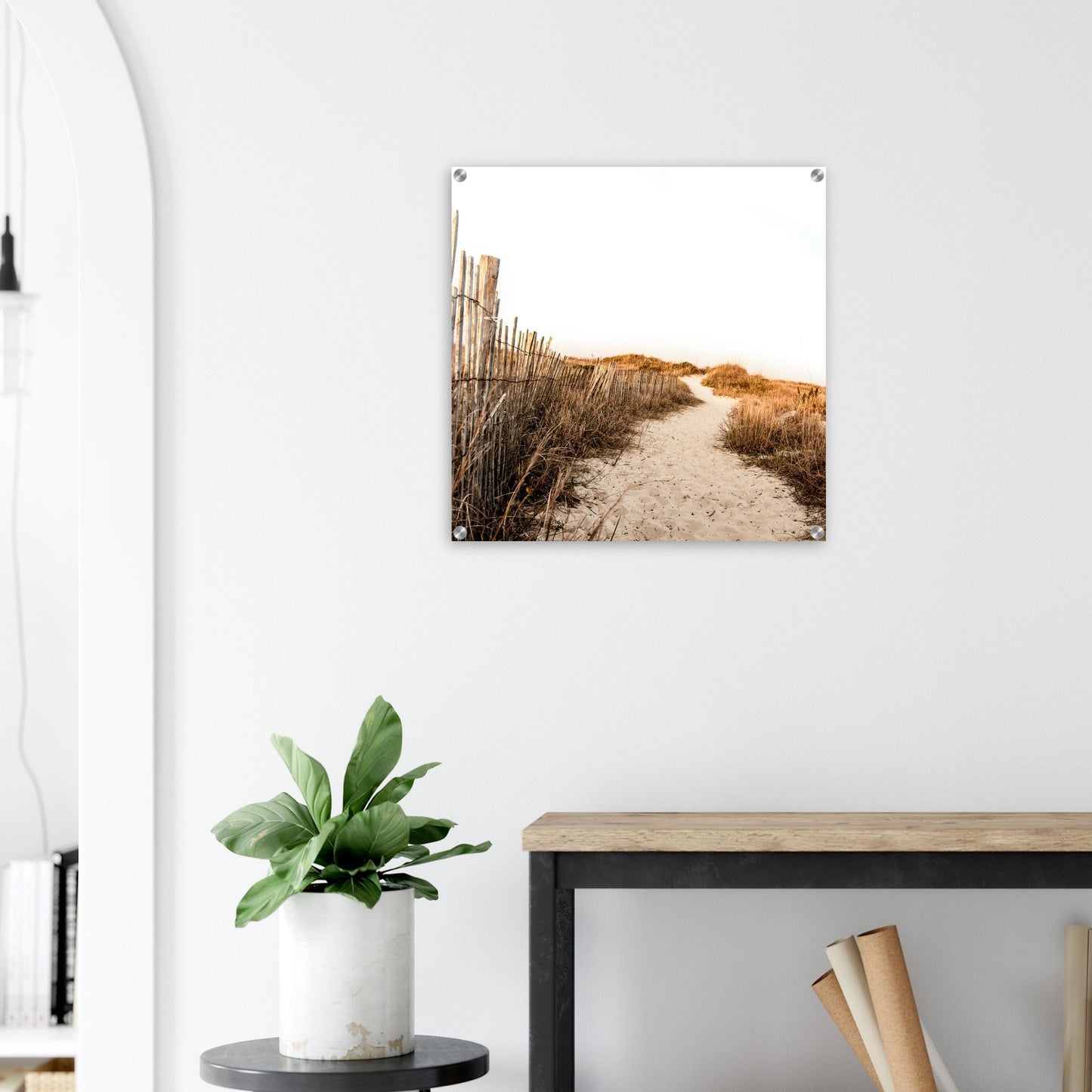 Sandy Path Acrylic Wall Print - on Caribbean Rays