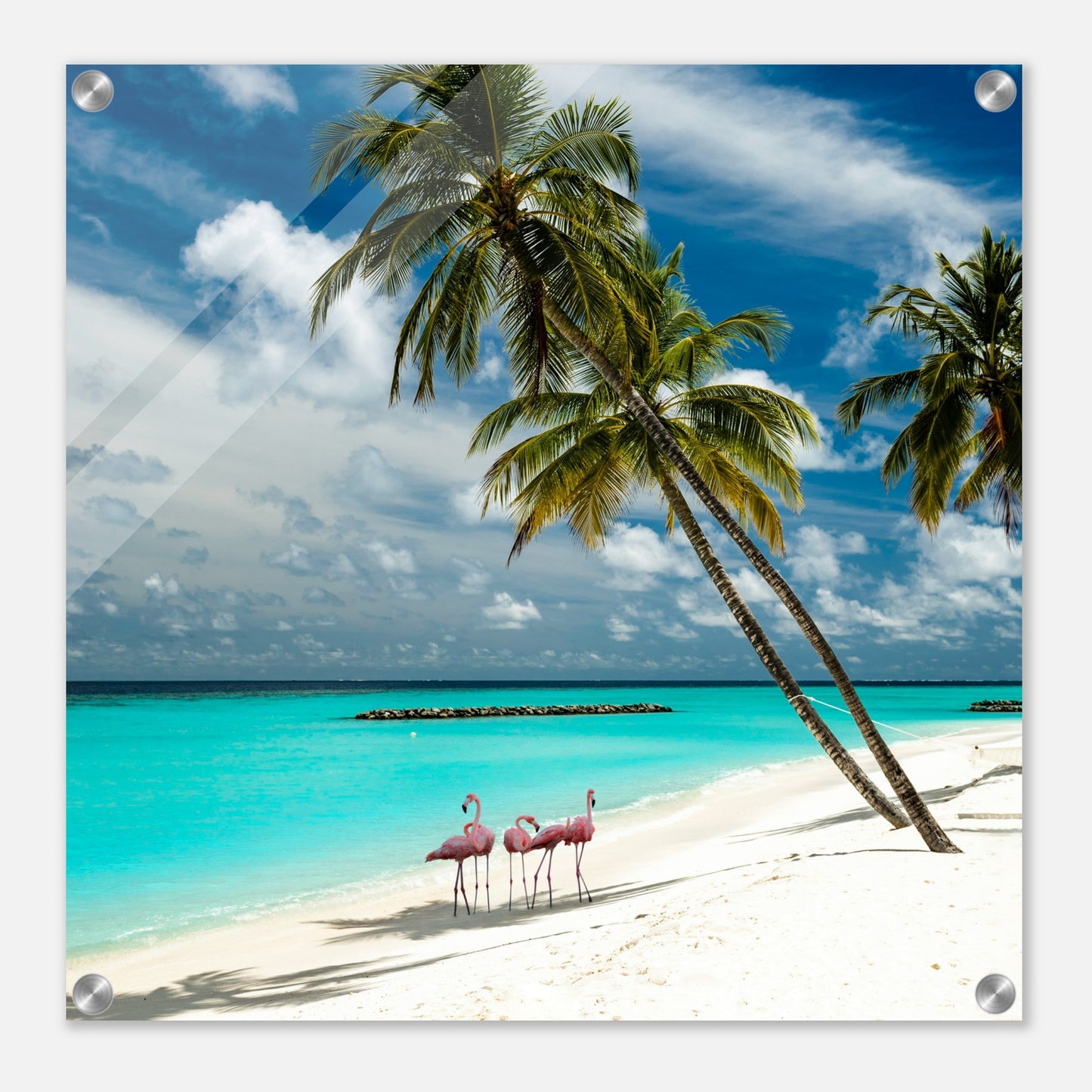 Flamingos on Vacation Acrylic Wall Print -by Caribbean Rays