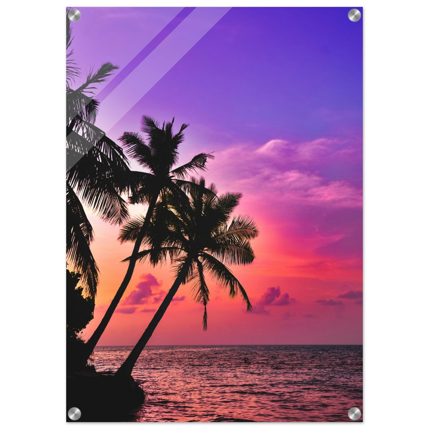 Purple Haze Palms Acrylic Wall Print on Caribbean Rays