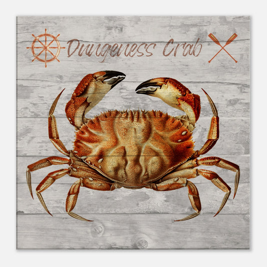 Dungeness Crab Canvas Wall Print by Caribbean Rays