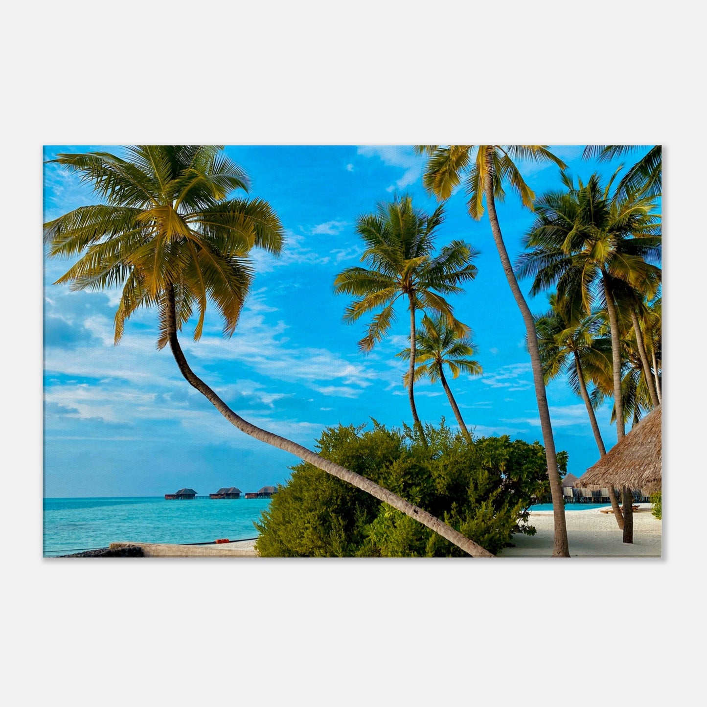 Tropical Resort Getaway Canvas Wall Prints at Caribbean Rays