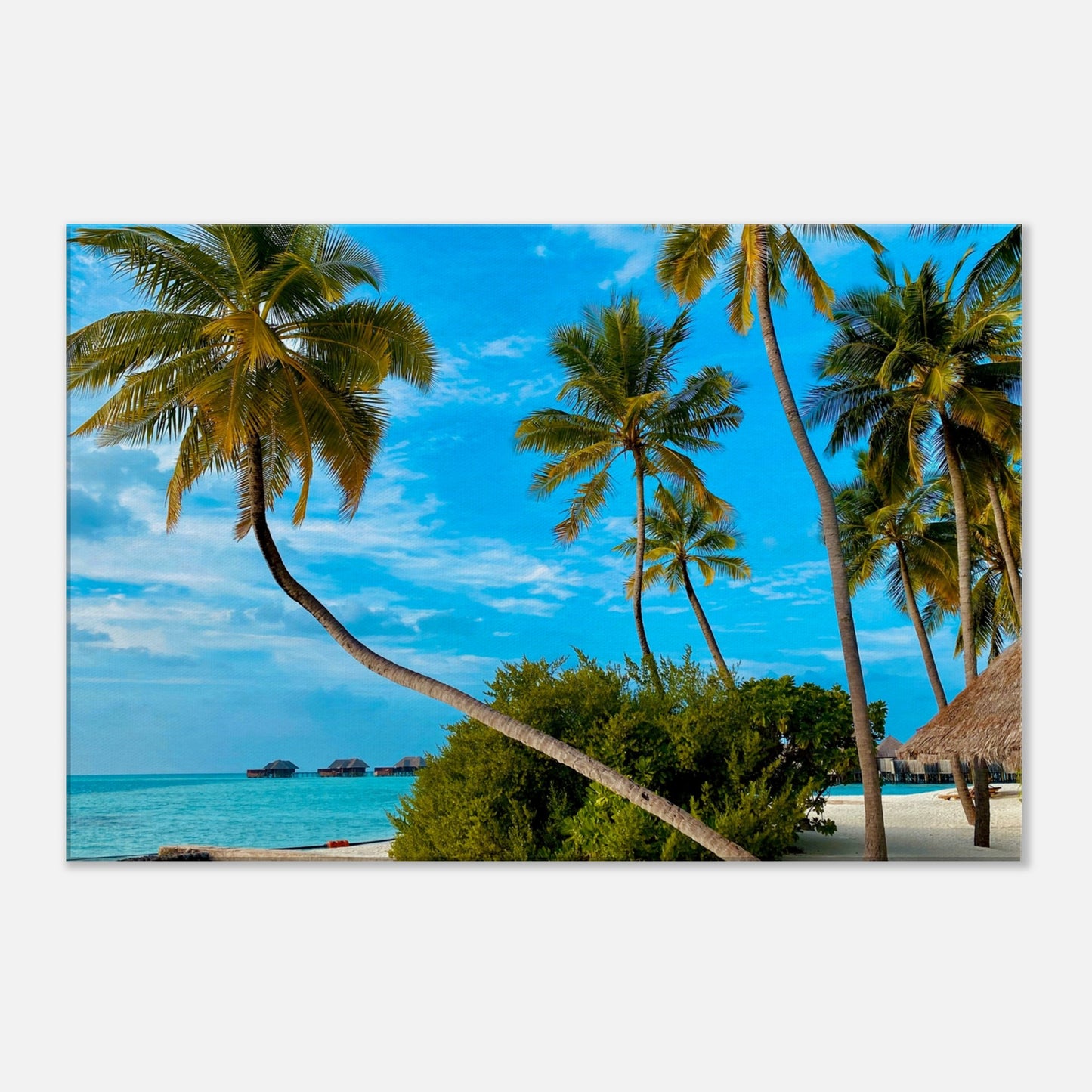 Tropical Resort Getaway Canvas Wall Prints at Caribbean Rays