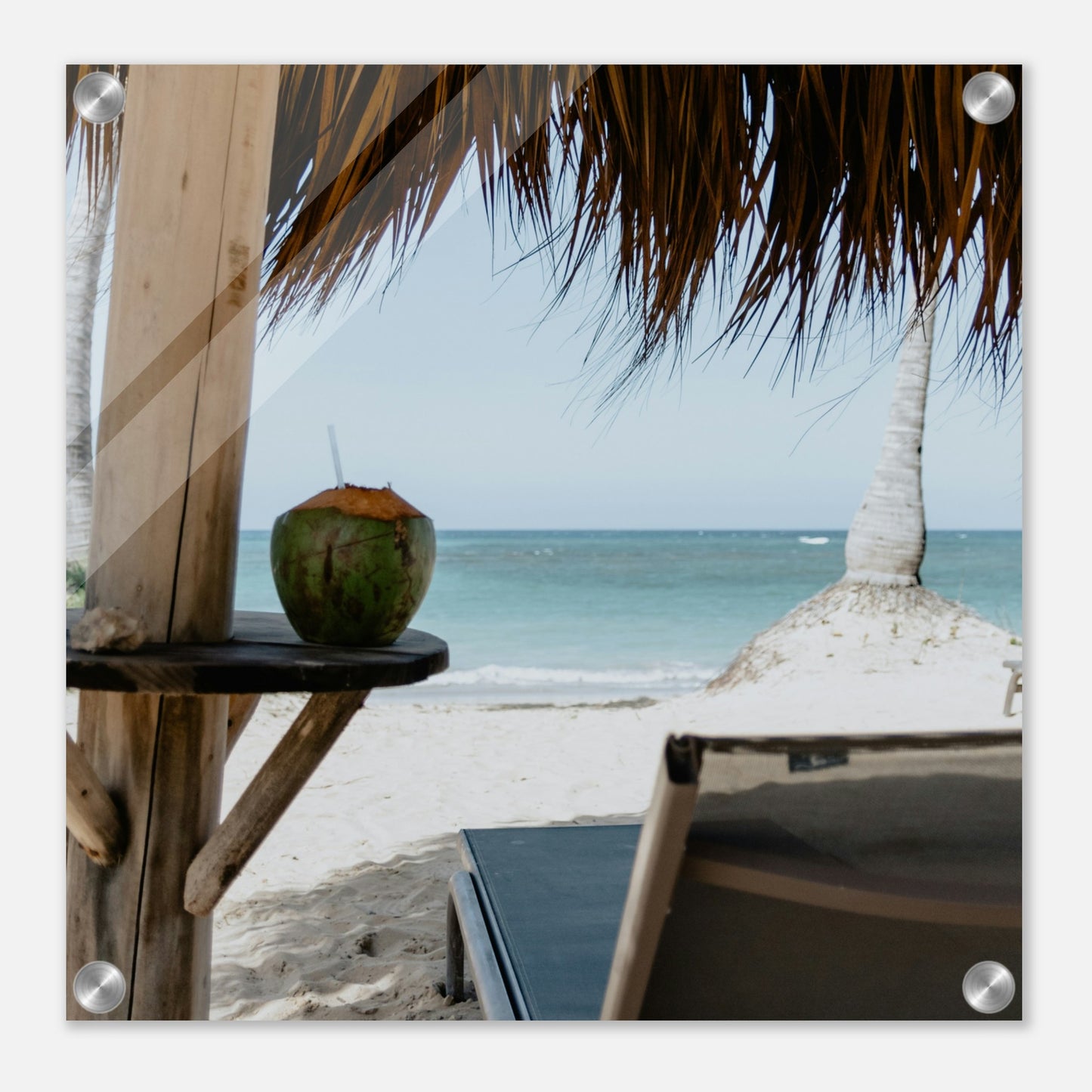 Coconut Dreams Acrylic Wall Print at Caribbean Rays