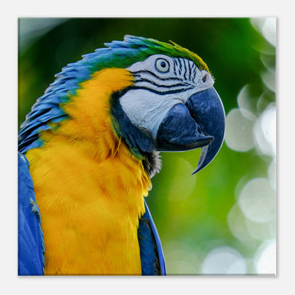 Blue Parrot Canvas Wall Print on Caribbean Rays