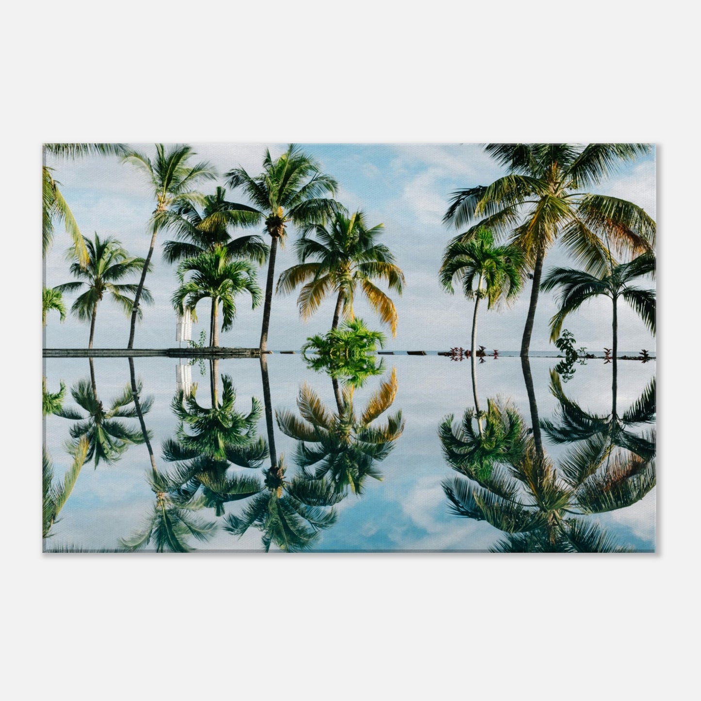 Palm Tree Reflections Canvas Wall Print by Caribbean Rays