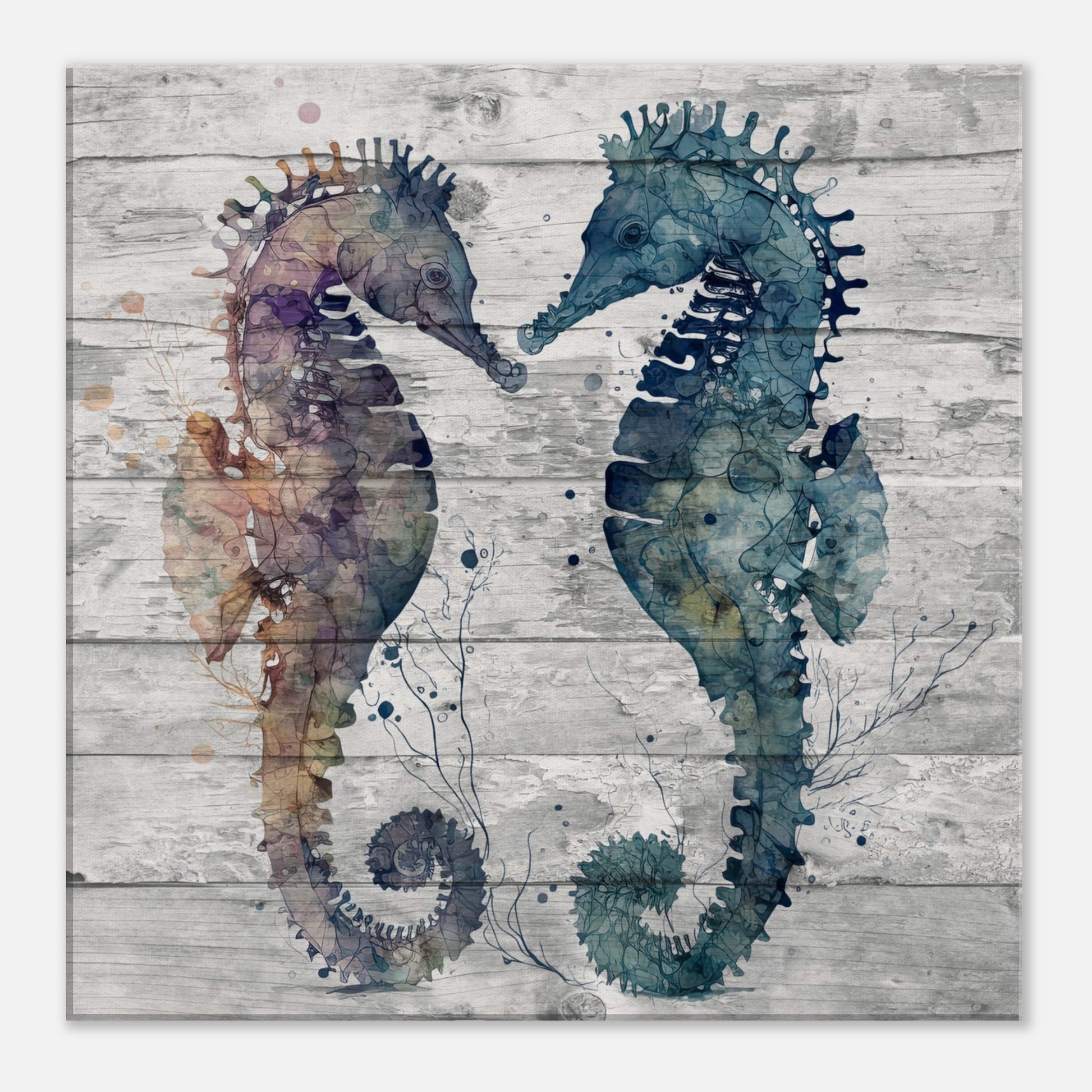 Two Tone  Duo Seahorses Canvas Wall Print by Caribbean Rays
