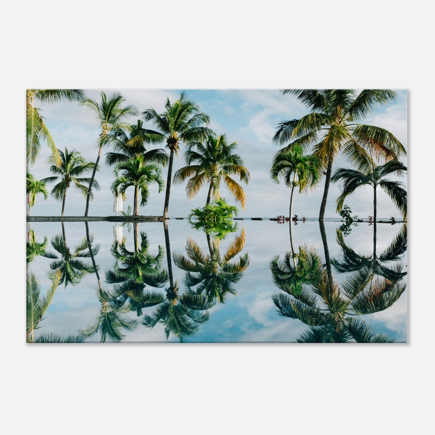 Palm Tree Reflections Canvas Wall Print by Caribbean Rays