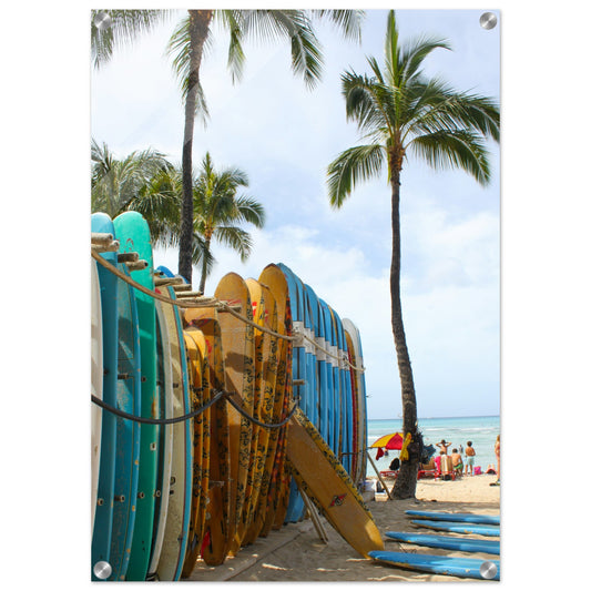 Surfboard Row Acrylic Wall Print by Caribbean Rays