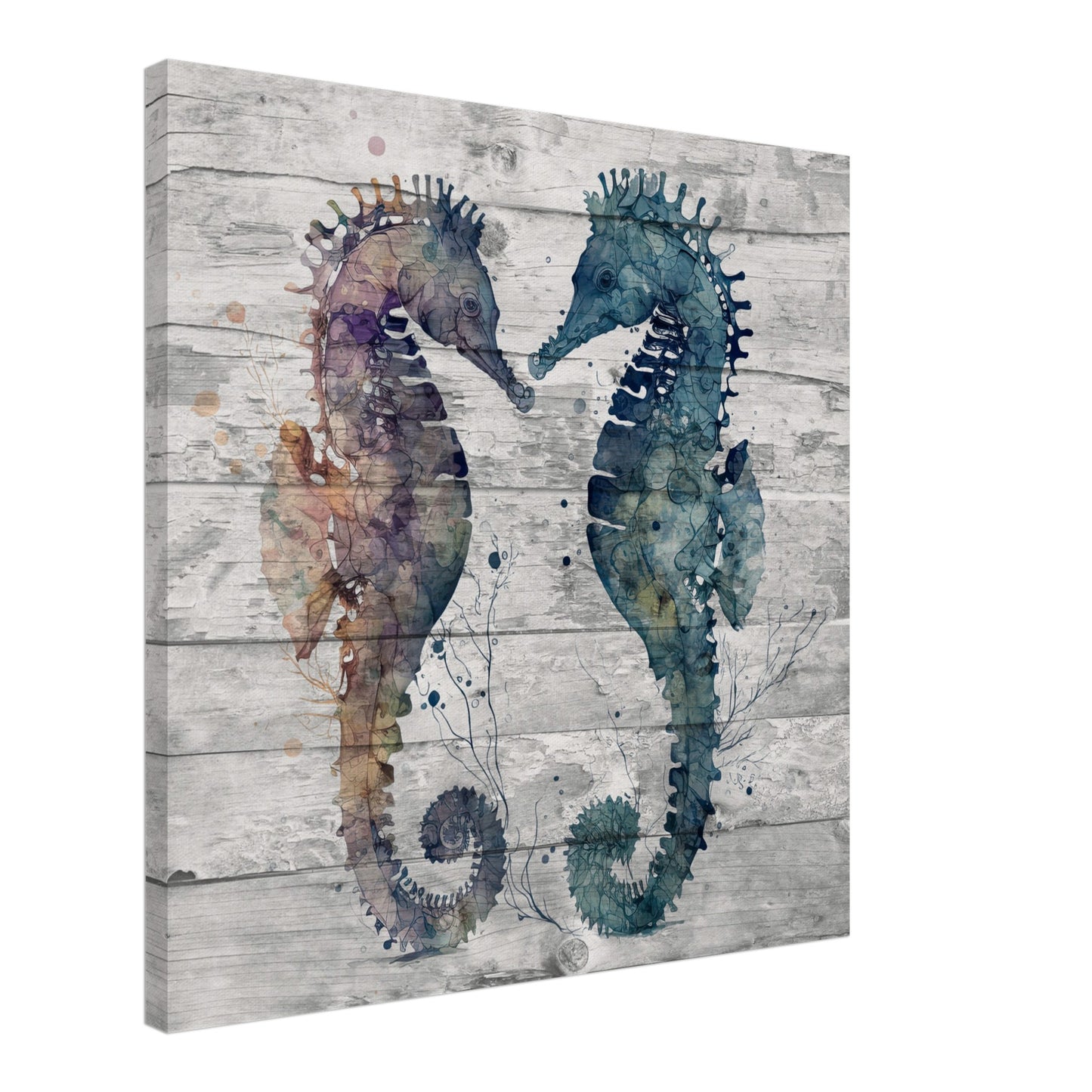 Two Tone Duo Seahorses Canvas Wall Print Caribbean Rays