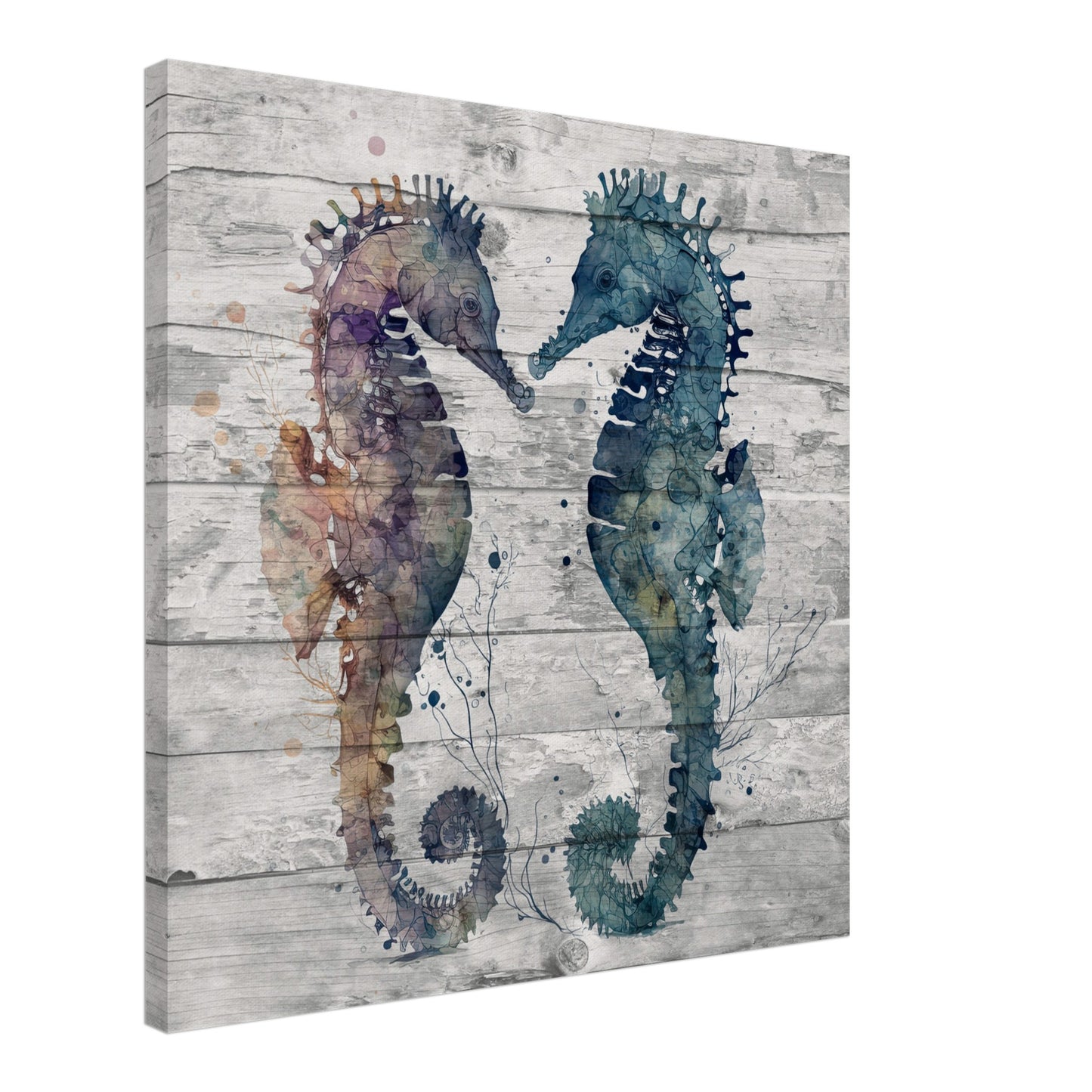 Two Tone  Duo Seahorses Canvas Wall Print Caribbean Rays