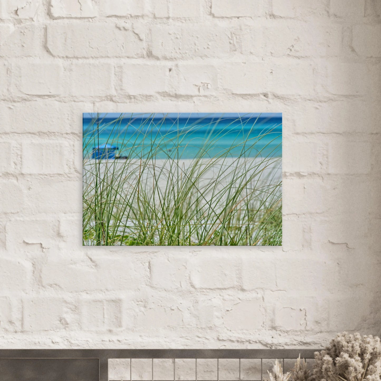 Beach Grass Canvas Wall Print - Caribbean Rays