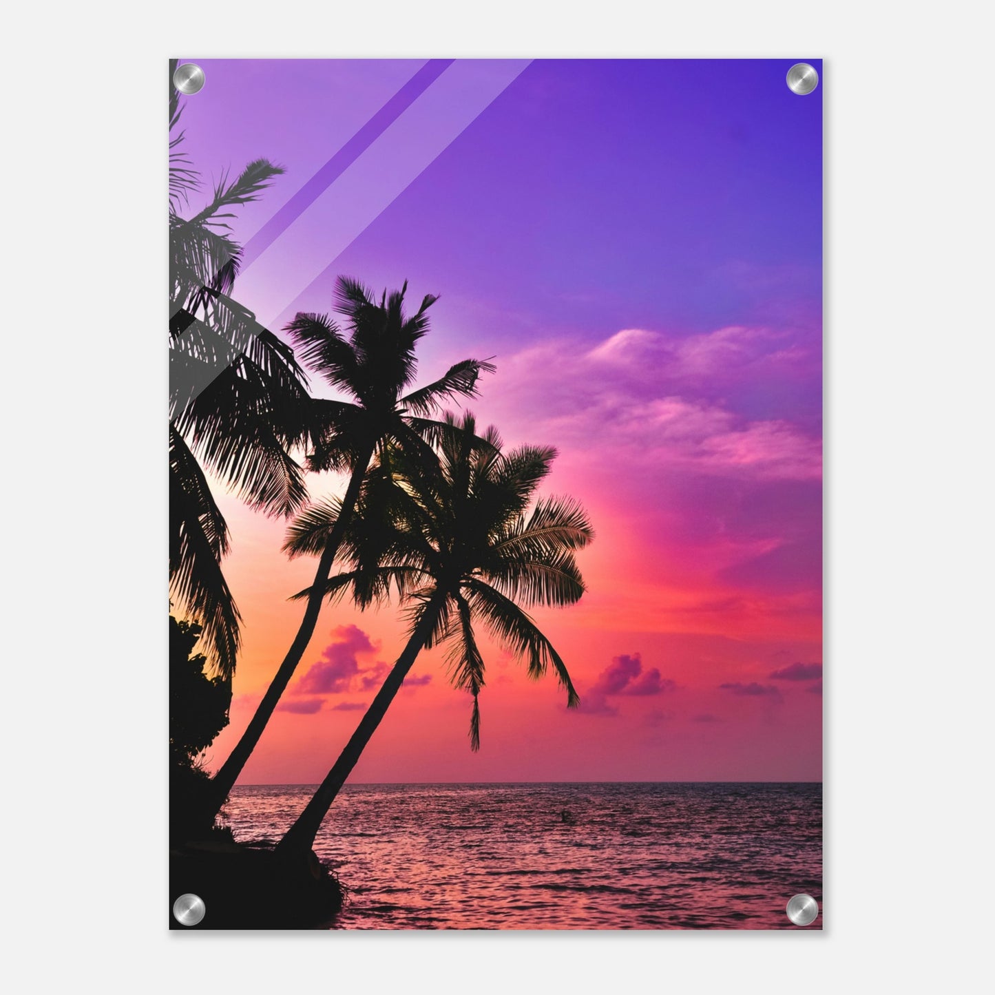 Purple Haze Palms Acrylic Wall Print by Caribbean Rays