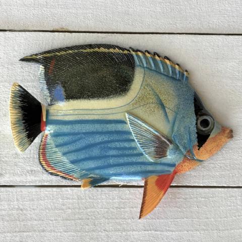 Tropical home decor, Tropical fish wall decor. Metal art wall hook