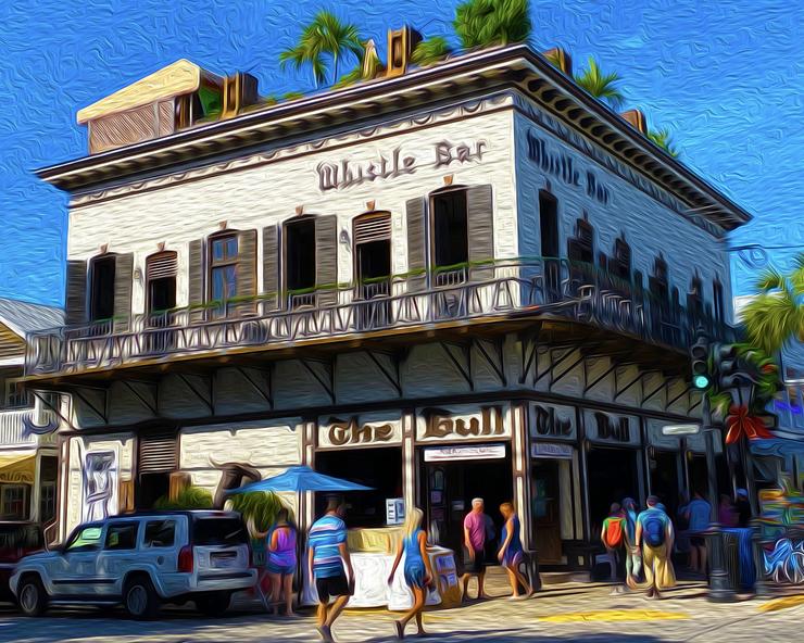 20x16 Duval Bull Canvas Giclee Print Wall Art by Caribbean Rays