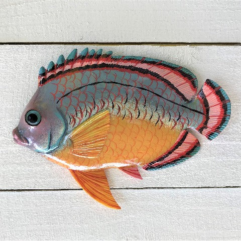 Spanish Hogfish Resin Tropical Fish Wall Decor by Caribbean rays