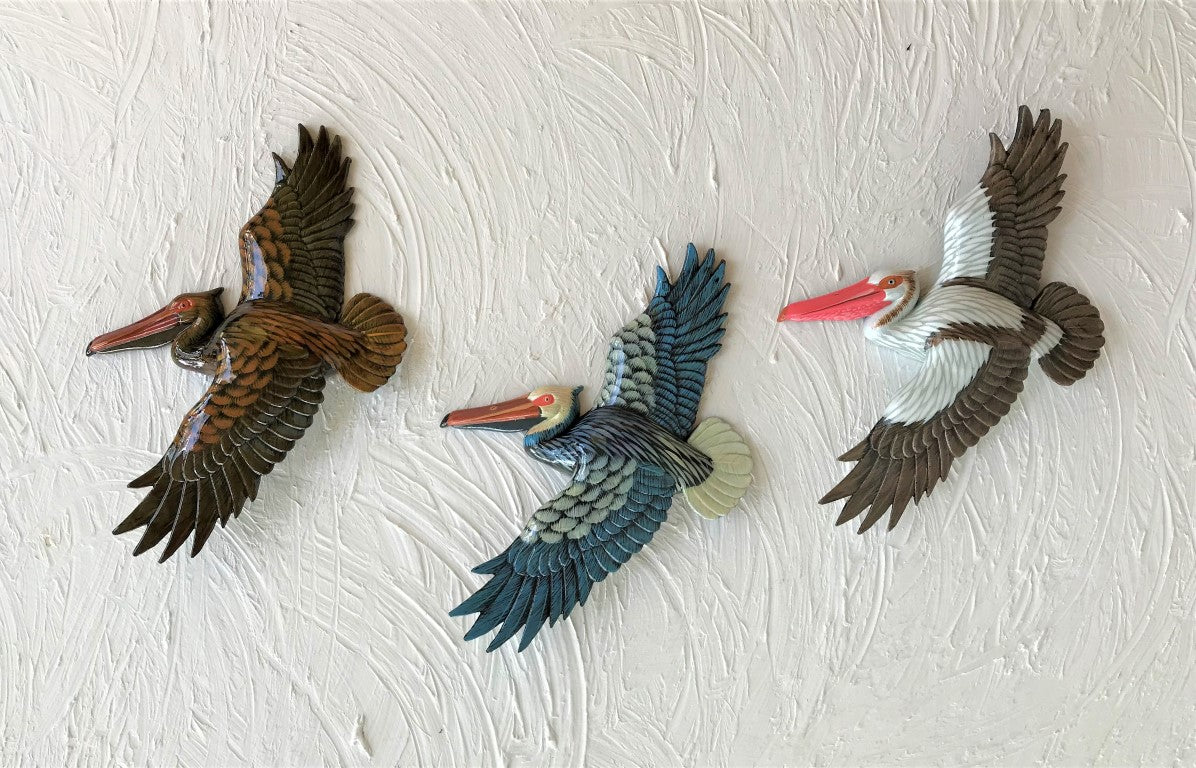 Collections – Caribbean Rays