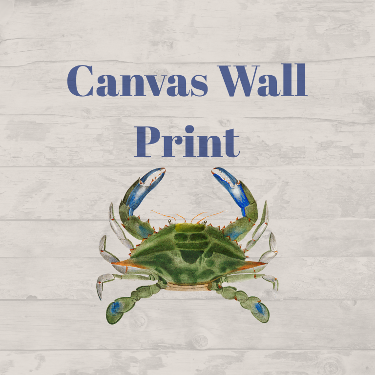 Canvas Wall Art – Caribbean Rays
