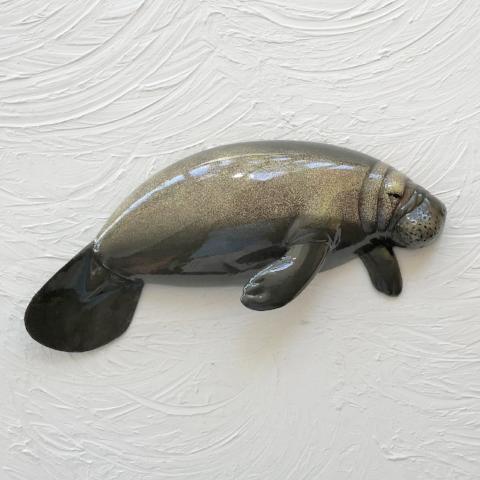 Collections – Caribbean Rays