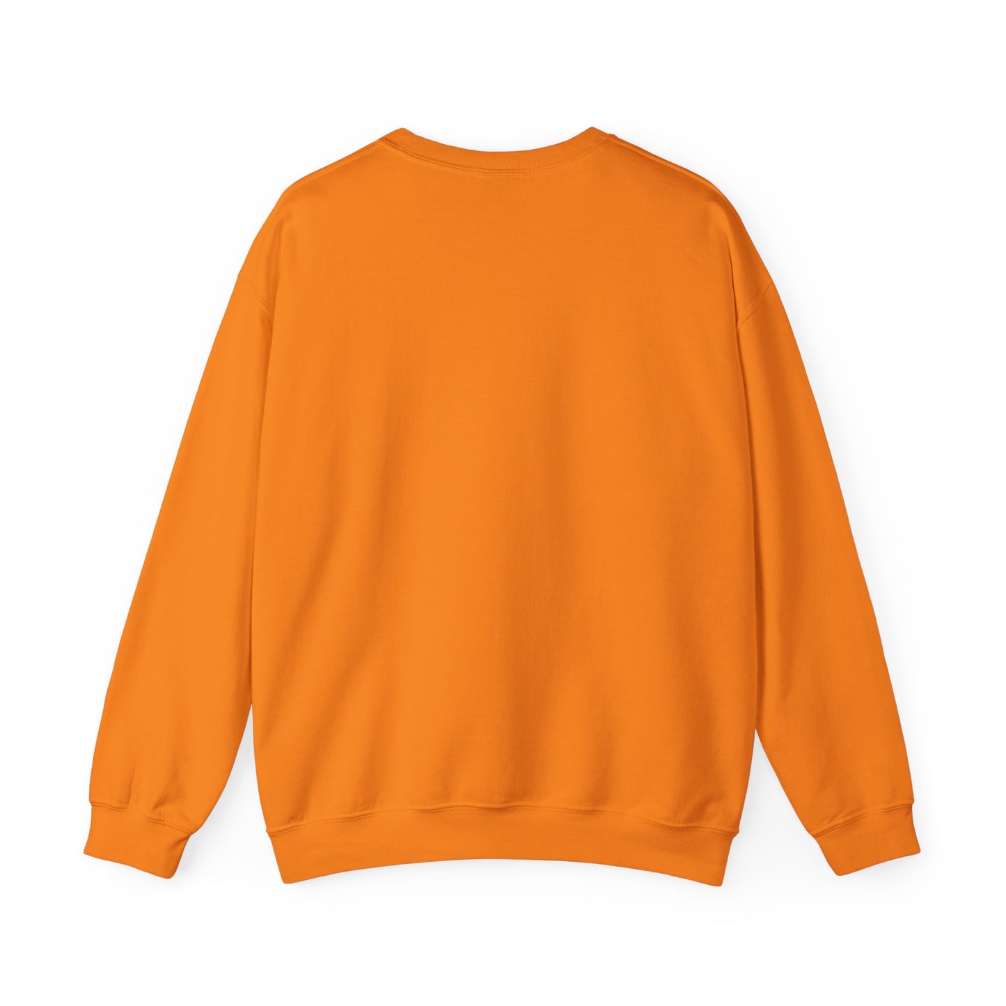 Crewneck Sweatshirt — "Today's Forecast: Mostly Drunk with a Chance of Fishing" Vintage Fishing Crewneck